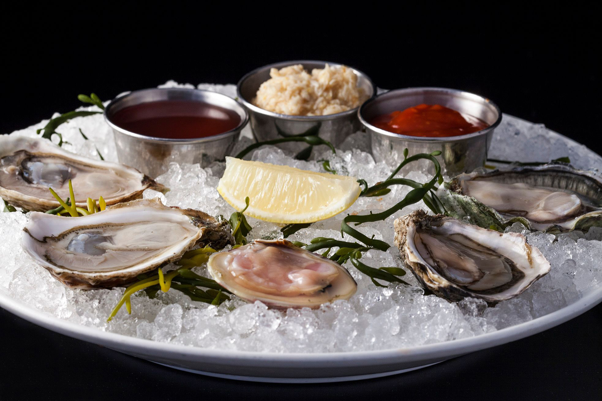 Oysters